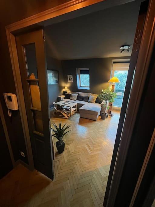 לה שסניי Appartement Cosy Le Chesnay מראה חיצוני תמונה